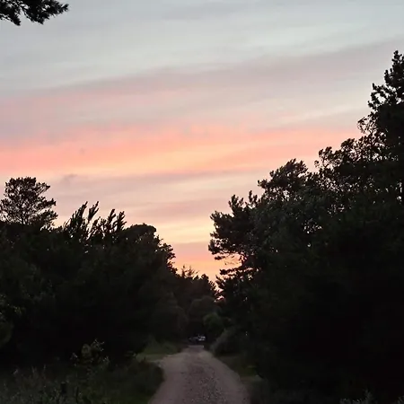 Luxury Retreat In Vejers - By Traum Semesterbostad *