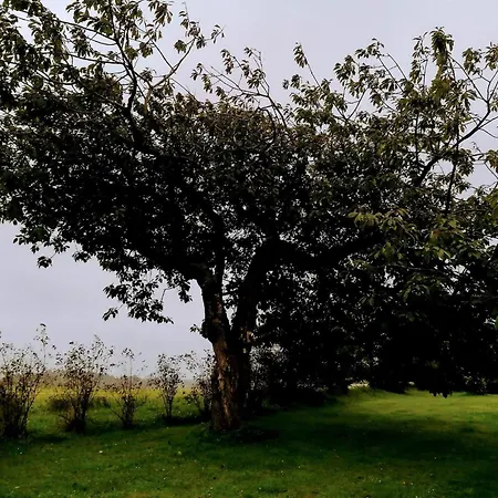 Luxury Retreat In Vejers - By Traum Oksbøl